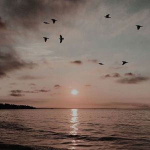 Meet your Posher, Nia